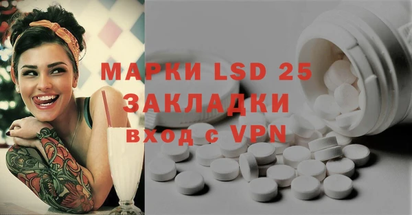 ГАЛЛЮЦИНОГЕННЫЕ ГРИБЫ Гусев