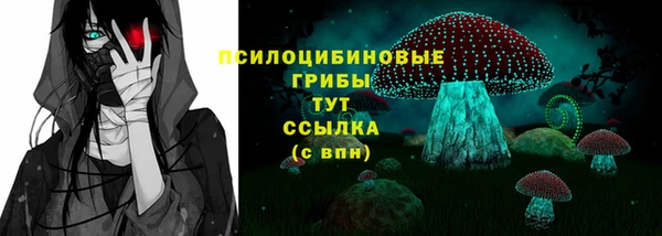 прущий лед Гусь-Хрустальный