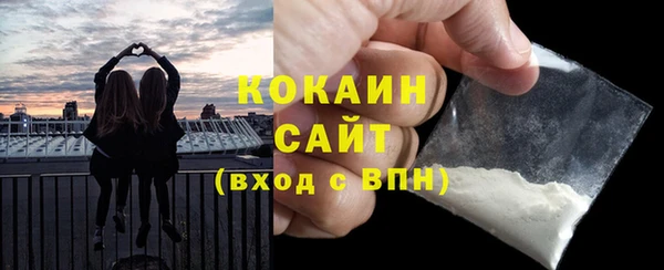 винт Горняк