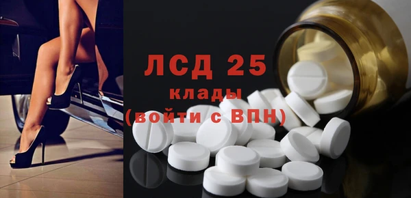 ГАЛЛЮЦИНОГЕННЫЕ ГРИБЫ Гусев