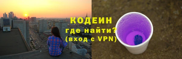 ГАЛЛЮЦИНОГЕННЫЕ ГРИБЫ Гусев