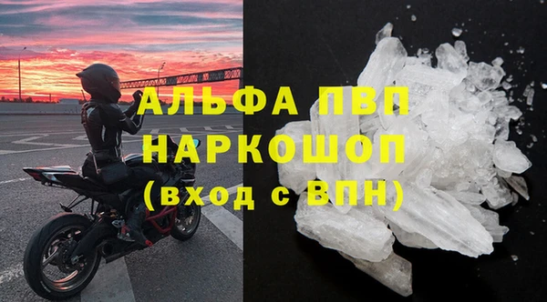 ГАЛЛЮЦИНОГЕННЫЕ ГРИБЫ Гусев