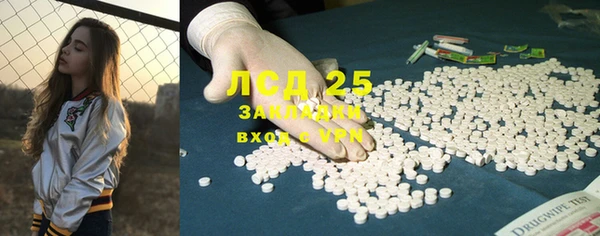 ГАЛЛЮЦИНОГЕННЫЕ ГРИБЫ Гусев