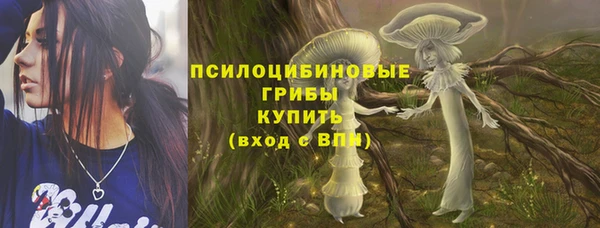 прущий лед Гусь-Хрустальный
