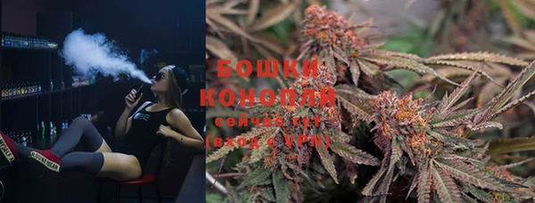 винт Горняк